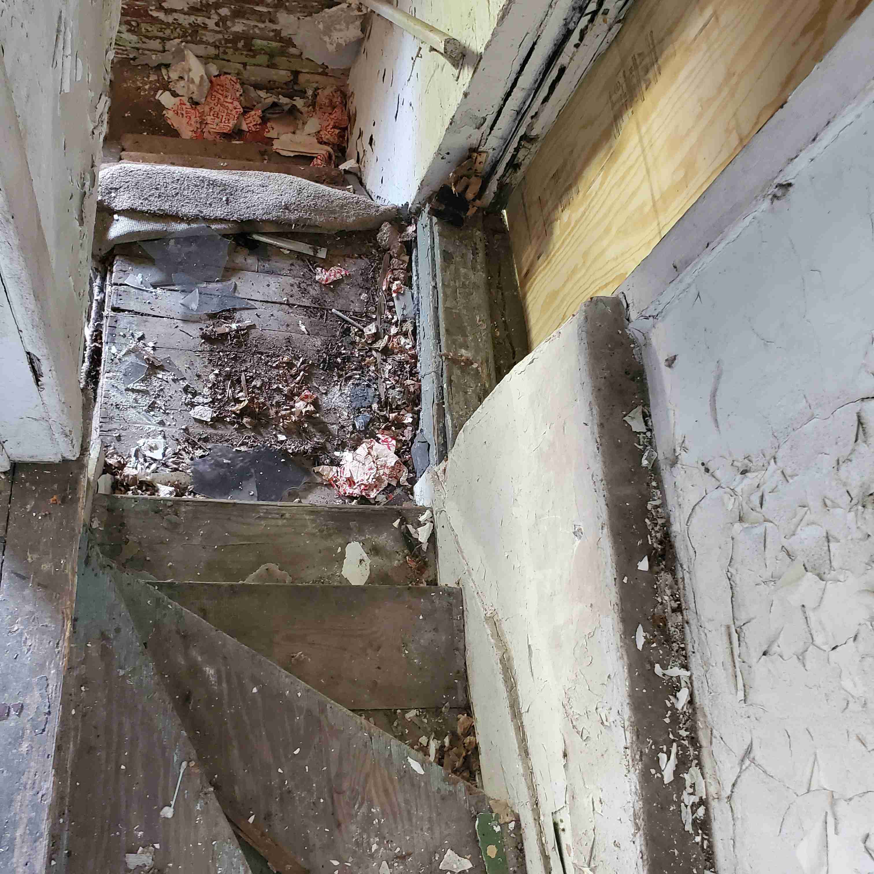 20200812_154205 (2).jpg